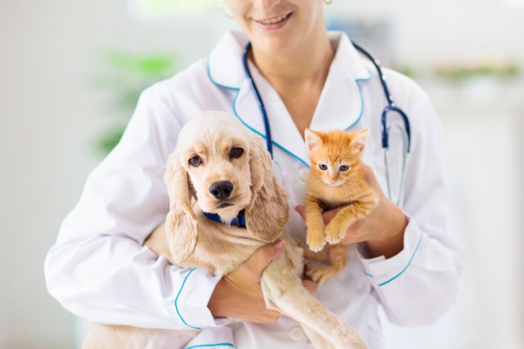 Как правильно выбрать ветеринарную клинику